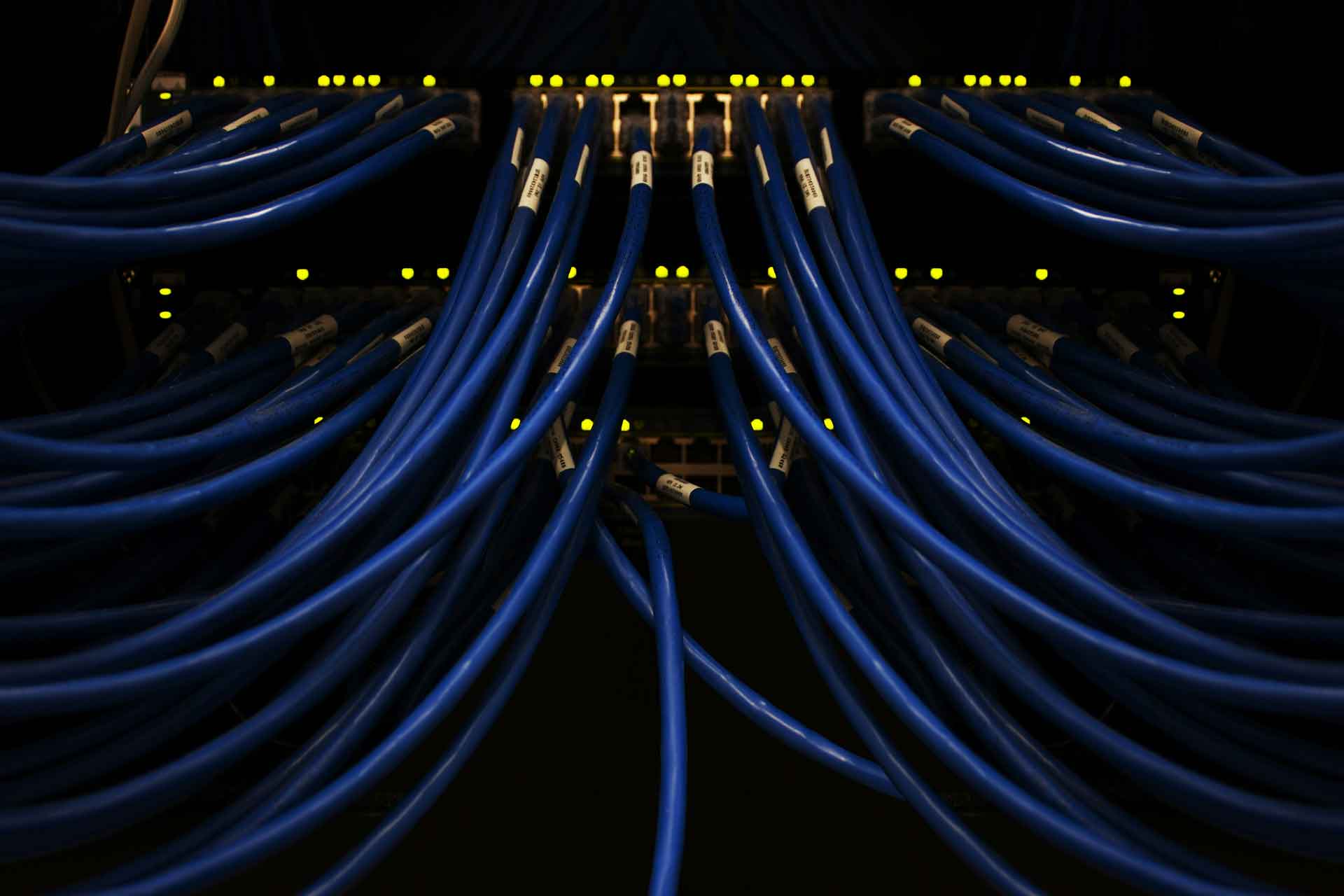 Blue network cables connected to a panel, illustrating structured cabling at the physical layer.